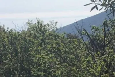 Image de Chez Aurele