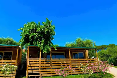Image de Mobil-home avec climatisation, terrasse et piscine