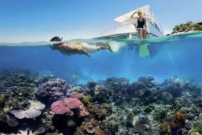 Image de Mango Reef House - Airlie Beach