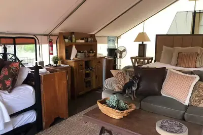 Image de “Safari Star Gazer Tent ” Glamping on our Farm