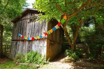 Image de Tranquil Redwood Hideaway with private patio and fast wifi