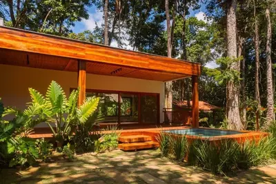 Image de Bromeliad refuge home