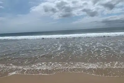 Image de Cottage by the Sea! 400m to the Beach, Lupo’s Pizza & Restaurant Bella Bronte.