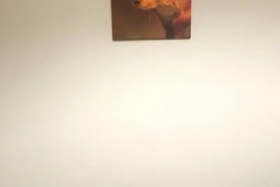 Image de Kirkcudbright Holiday Apartments - Apartment D - 1 bedroom