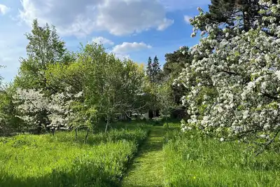 Image de Le clos des Lilas