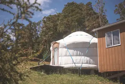 Image de Buho | Eco Yurt Rayen Pülli · Nature & Calm