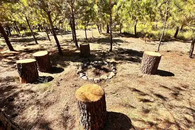 Image de Your perfect shelter among the trees