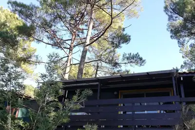 Image de Chalet dans les pins entre lac et Océan