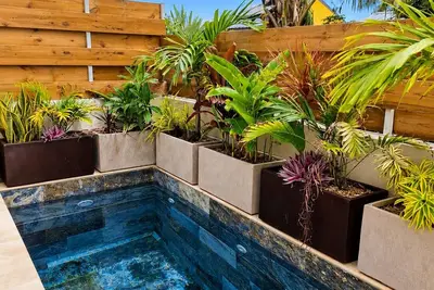 Image de Villa Cap Jaune – Piscine | Sud Sauvage | 6 pers | Authenticité & Nature