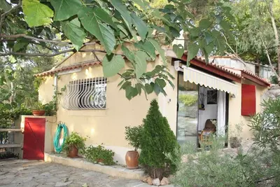 Image de Oiseaux Ii - Domaine de la Navicelle