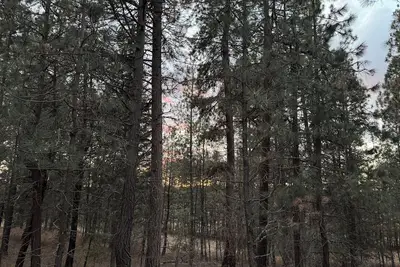 Image de Cozy loft cabin with Ac on 6 acres of woods near the charming town of Bigfork