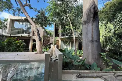 Image de Casa Querida, an oasis in the middle of the city