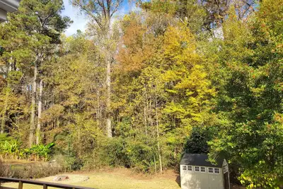 Image de Charming, woodsy 1-bedroom apartment getaway in Lilburn for up to 4 guests