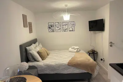 Le Patcho studio cosy et confortable Centre de Strasbourg