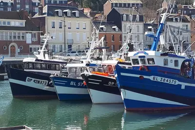 Image de Maison de Pêcheurs avec vue sur le Port du Tréport! \n3 Chambres dont 1 en Rdc
