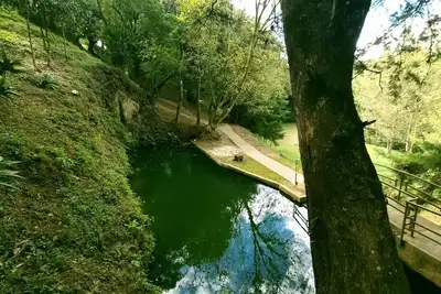 Charming house in a condominium