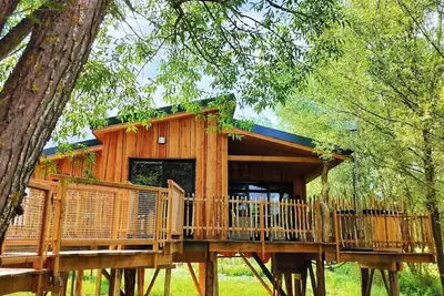 Image de Cabane au cœur de l'Ardenne! Nature, bain nordique et sauna finlandais.