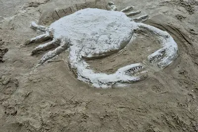 Barefoot Bach - Steps from the Beach!