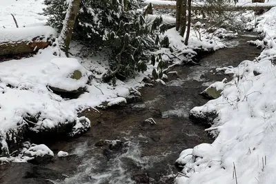 Image de Authentic log cabin nestled in nature on 25 acres with a roaring creek below!