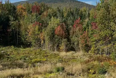 Image de Charming Pet-Friendly 4 Bedroom Home w/Hot Tub & Firepit in Beautiful Jefferson!