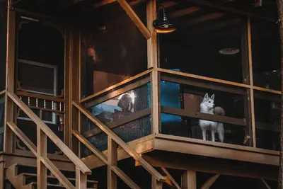 Image de A Great Camp Style Cabin at Motel Long Lake 