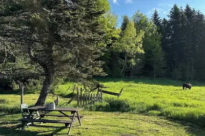 Image de Le cabanon de Léonie, Gîte au pied du Puy-de-Dôme au cœur des volcans d'Auvergne