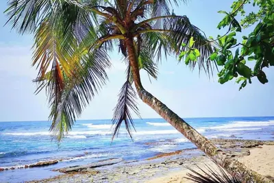 Image de Casa Luminosa - Villa avec piscine dans la jungle, près de la plage
