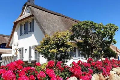 Image de Vacation home for 4 guests with 96m² in Zierow (306908)