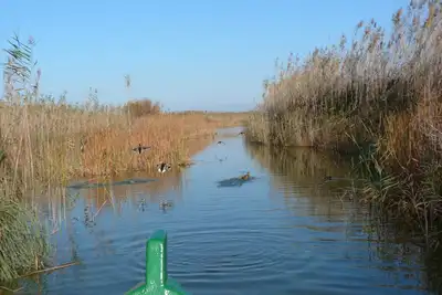 Image de Luxury Beach House in the Albufera Nature Park
