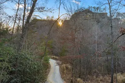 Image de The Hummingbird - Mountaintop Cabin w/ Hot Tub
