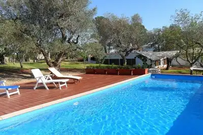 Image de Lots greenery 2 km from Alberobello Unesco heritage site unique and welcoming