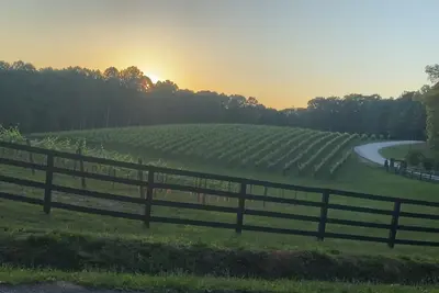 Image de Tranquility and sunrise mountain views. Mins to town!