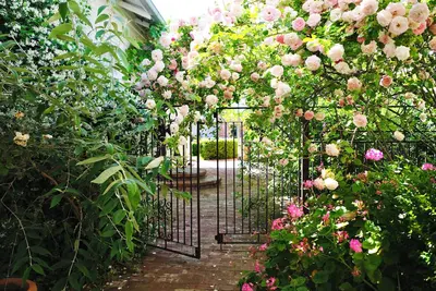 Image de Vintage Courtyard Villa｜5 Bedrooms · Small Fountain and Garden Views