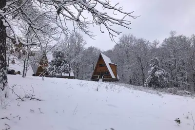 Image de Dogwood Den-6. 5 miles to Bentonville