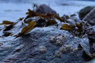 Image de Secluded Fjordside Cabin with Sauna, Hot Tub & Private Beach