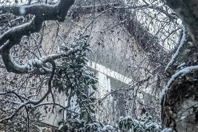 Image de House next to Parc de Sceaux - 20 mins from Paris with train