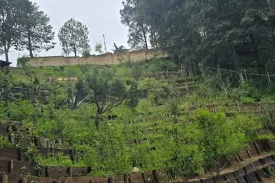 Image de Forest Bath Cabin: Nature, Comfort and Family Fun