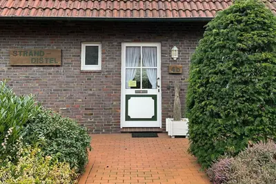 Image de Beach thistle, Germany