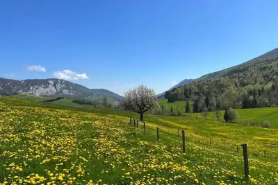 Image de Schafmatthof 1 Obergeschoss by Interhome