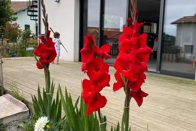 Image de Villa de charme proche la plage