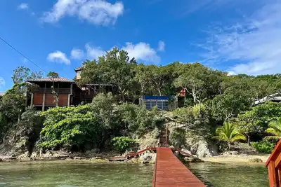 Dancing Oaks on the Ocean