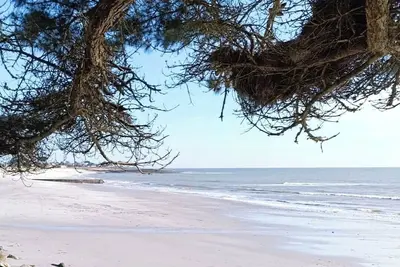 Image de Eco-lodge sur la presqu'île de Rhuys