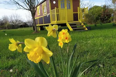 Image de Roulotte Sous le soleil