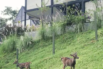 Image de Solitude Villa Tahura