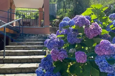 Image de Cannella Comfort Apartment