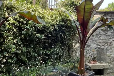 Casa Orsi - Villa in San Michele