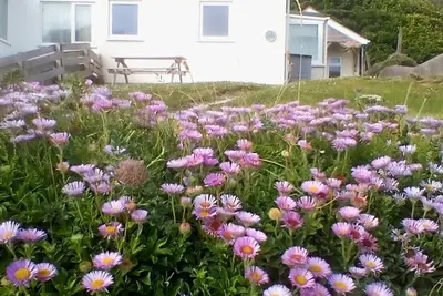 Image de Fabulous position a sandy beach and stunning coastal walks. Family friendly.