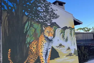 Image de House in Foz do Iguaçu | near the waterfalls