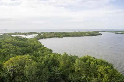 Image de Ocean View Apartment - Soho Playa Mendoza