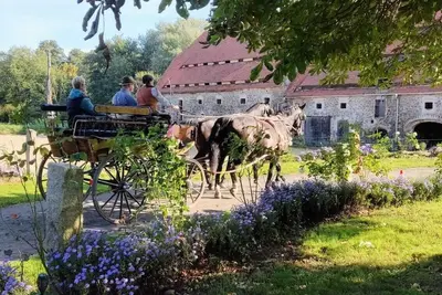 Image de Grandma's Family Farm Stay Apartment in Nature & Peace. Perfect Family Retreat